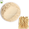 Direct sales ginseng powder root extract powder